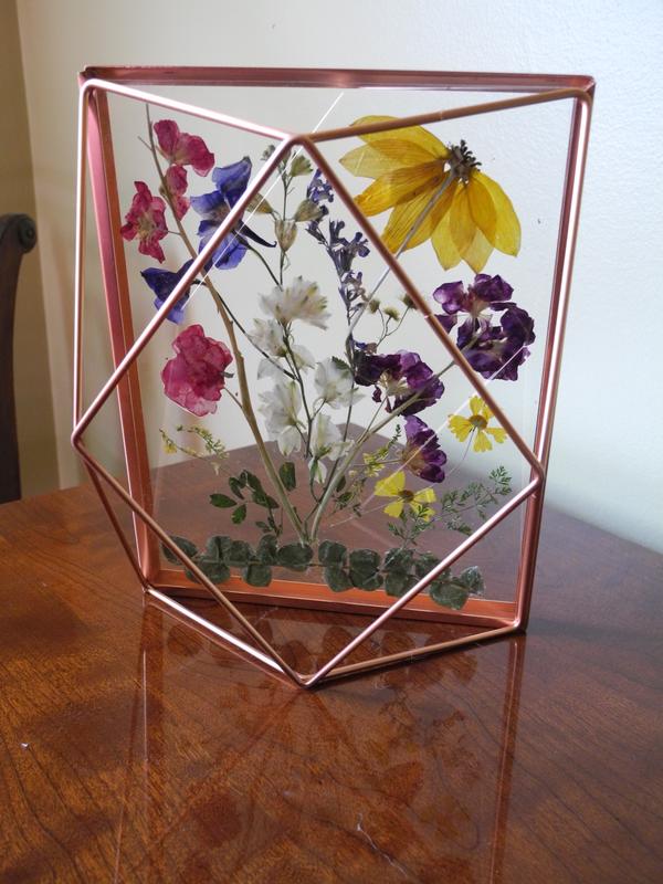 kaaleidoscope of color!