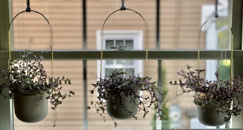 My nieghbor loves the view . . .