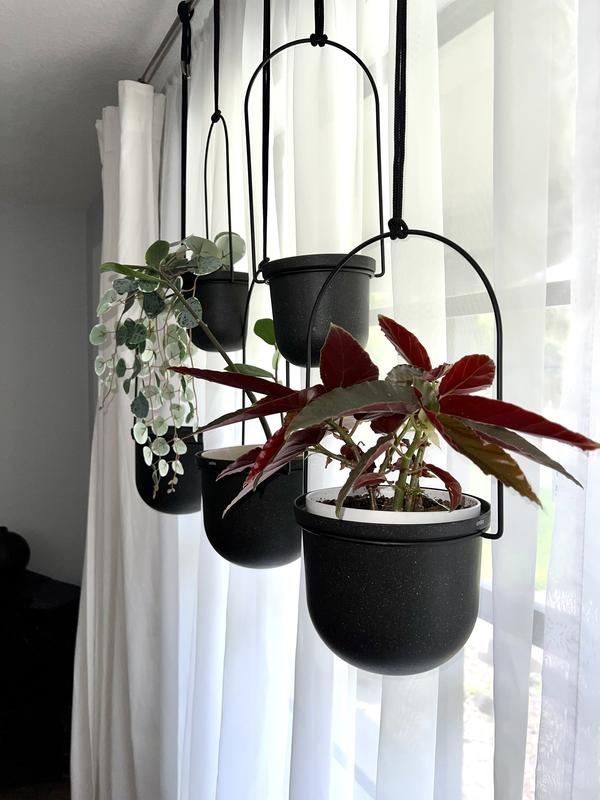 Umbra Triflora Portavasi da appendere, Bianco/ottone