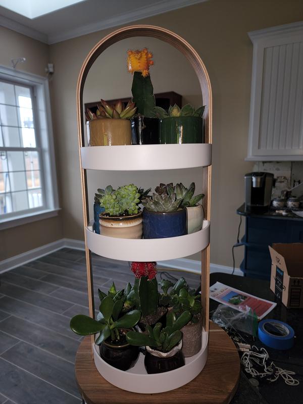 My succulents love it. ❤️