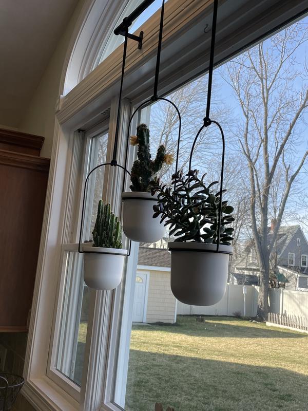 Triflora Hanging Planters, Set of 3  Umbra Europe