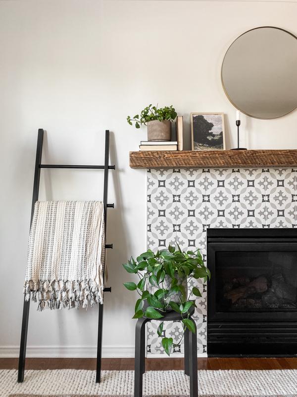 Ladder in the living room!