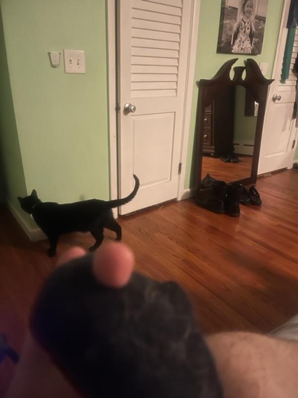 Photo submitted with review of product