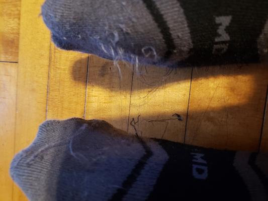 One hour of wear on recently refinished floor