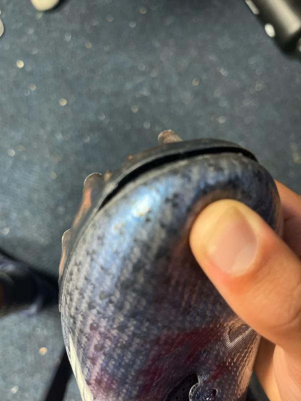 Photo submitted with review of product