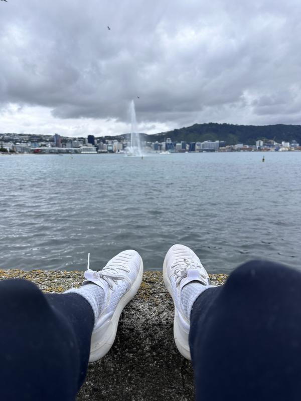 A stroll through the Oriental bay