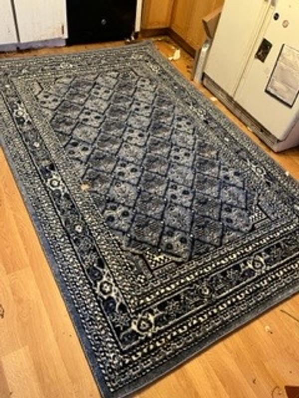 My new blue rug