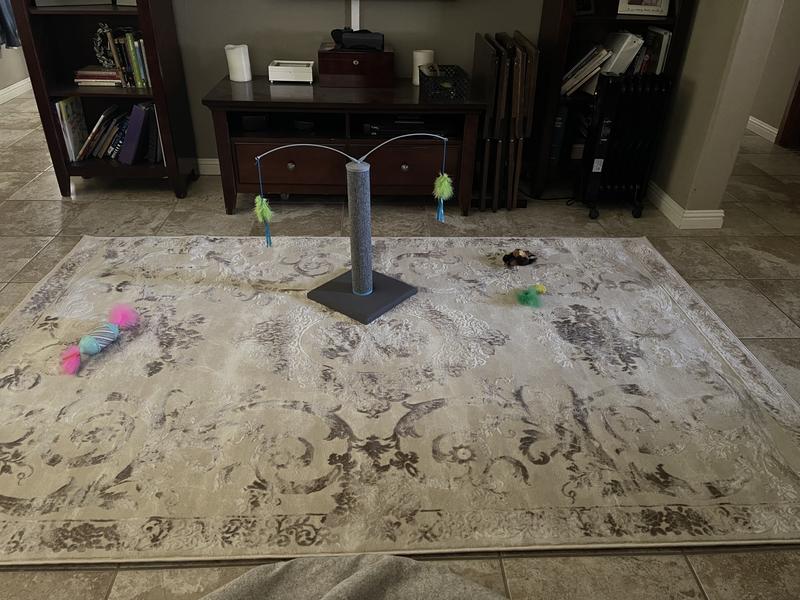 Very pretty. Cat toys not included