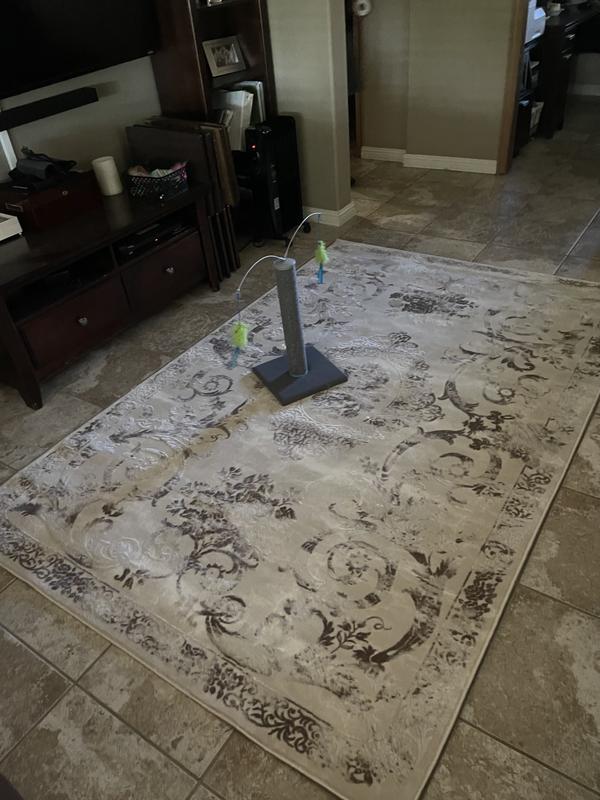 *cat toy not included