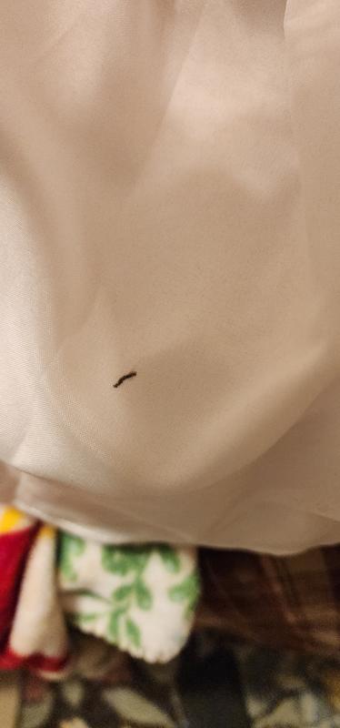 Review Thumbnail Image 1 380105053