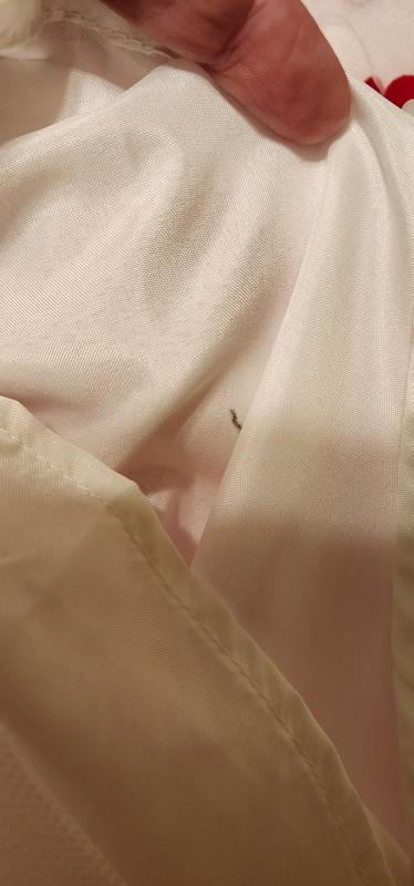 Review Thumbnail Image 2 380105053