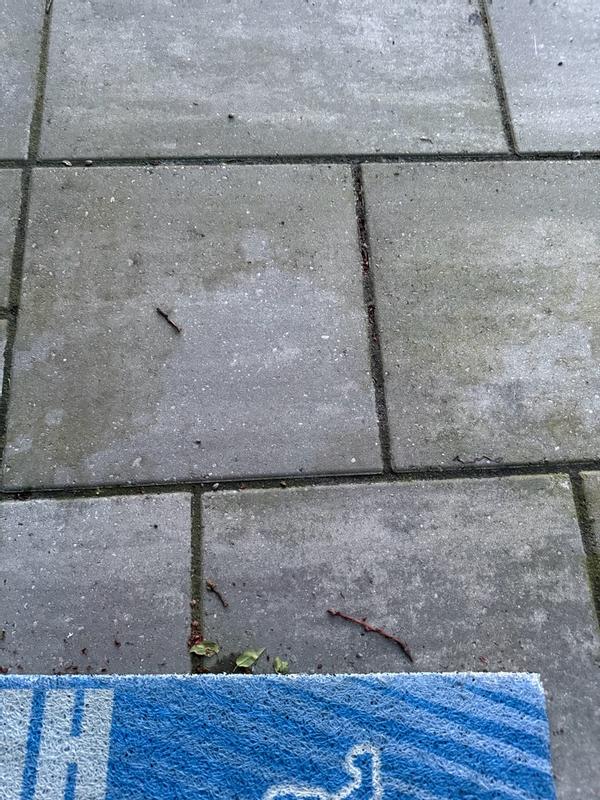 Review photo 2.