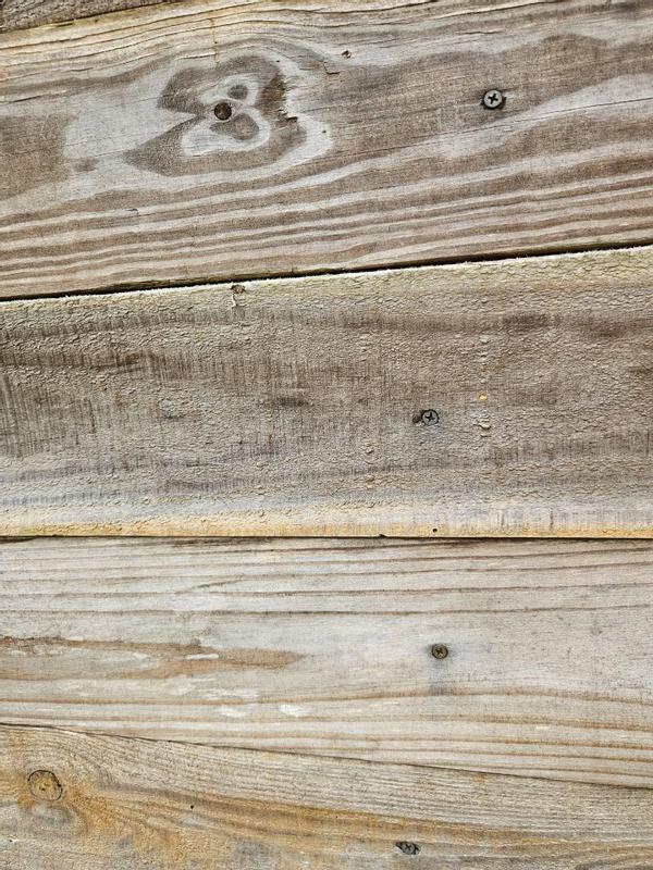 Review photo 4.