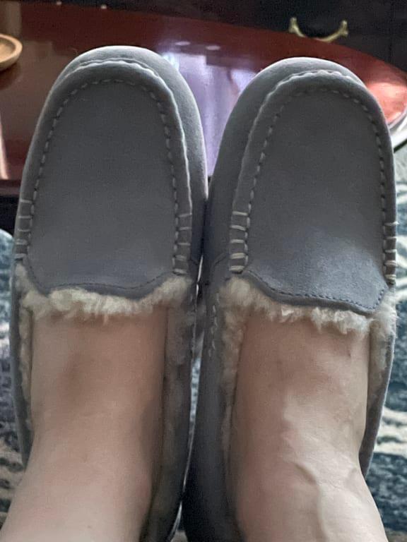 ugg ansley light grey