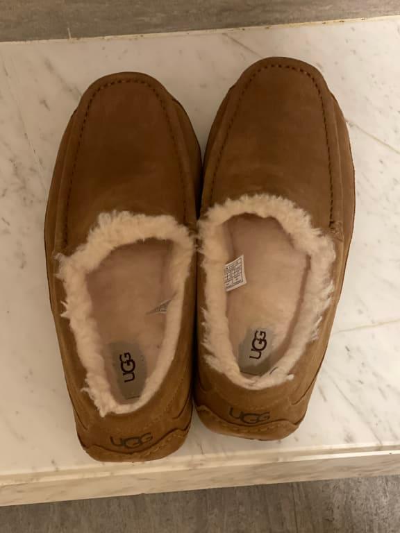 Fashion mens ugg slippers macys