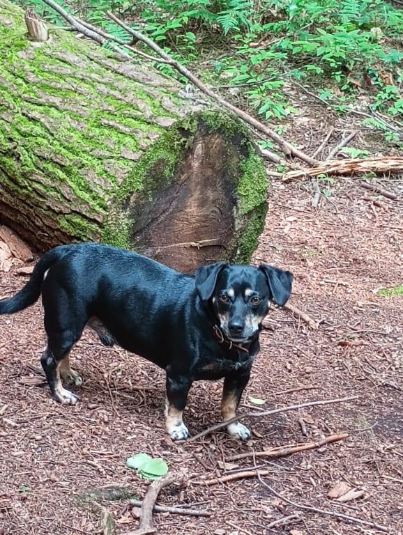 Our Best Bud