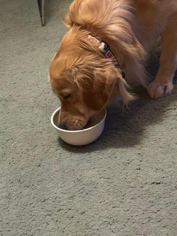 Yummy!