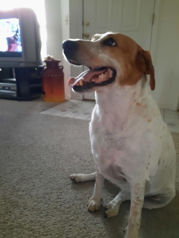 My sweet girl, Junie