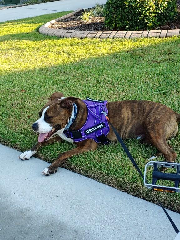 Rest break on a jog