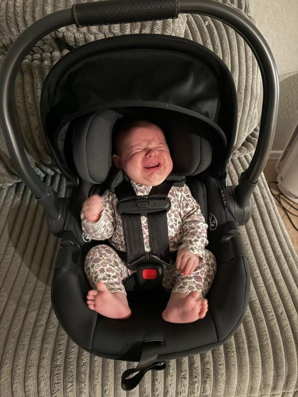 Review Thumbnail Image 0 378864025