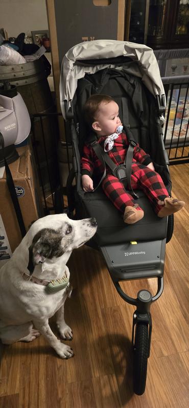 Customer photo for "A very well built and robust jogging stroller"
