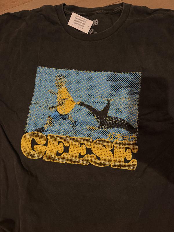 Geese Album Graphic Tee | Urban Outfitters