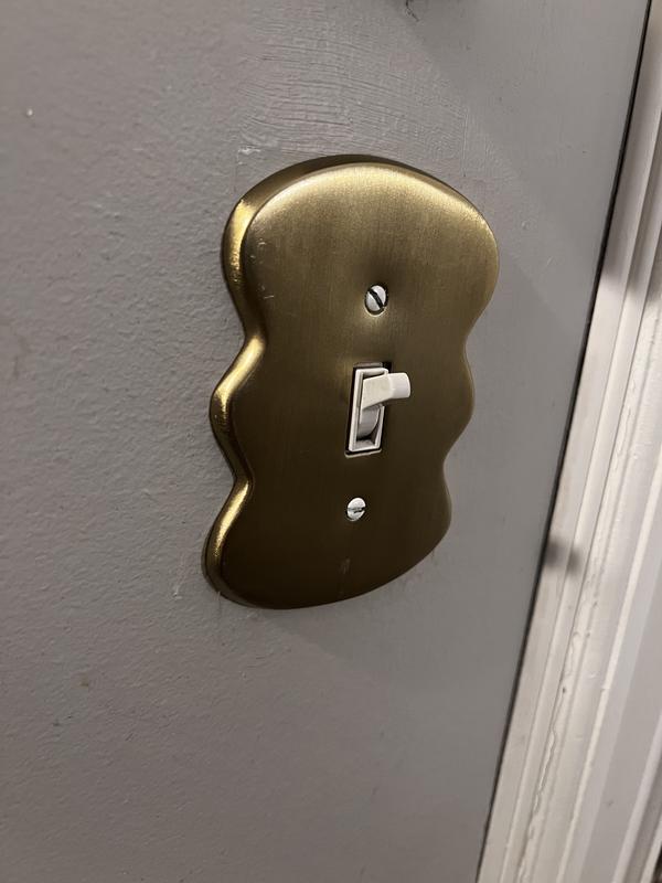 Maura Squiggle Shape Light Switch Cover