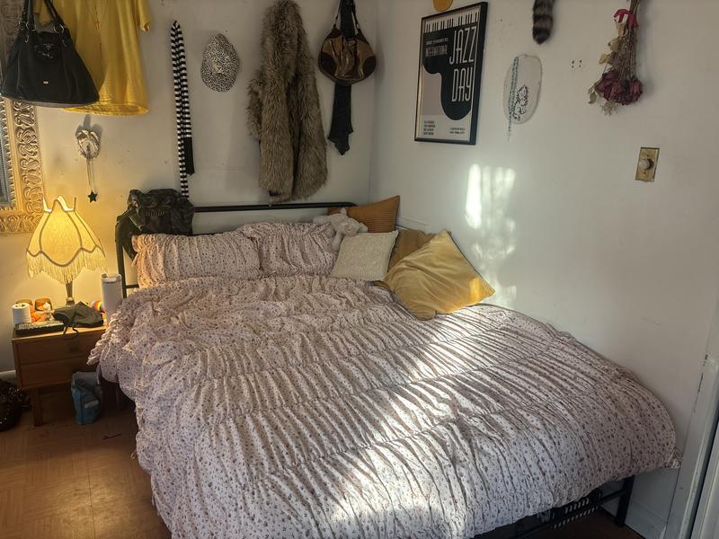 Printed Cinched Core Sham Set