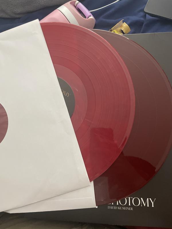David Kushner - The Dichotomy Limited 2XLP