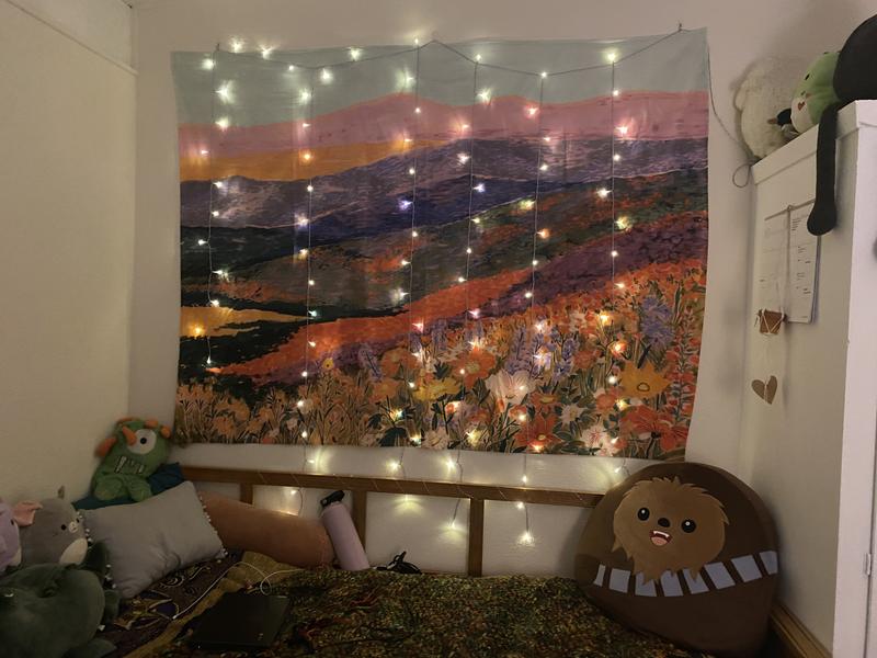 Superbloom Landscape Tapestry | Urban Outfitters