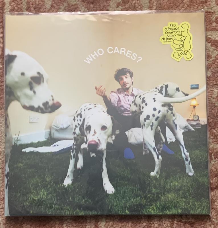 Rex Orange County - Who Cares? Limited LP | Urban Outfitters