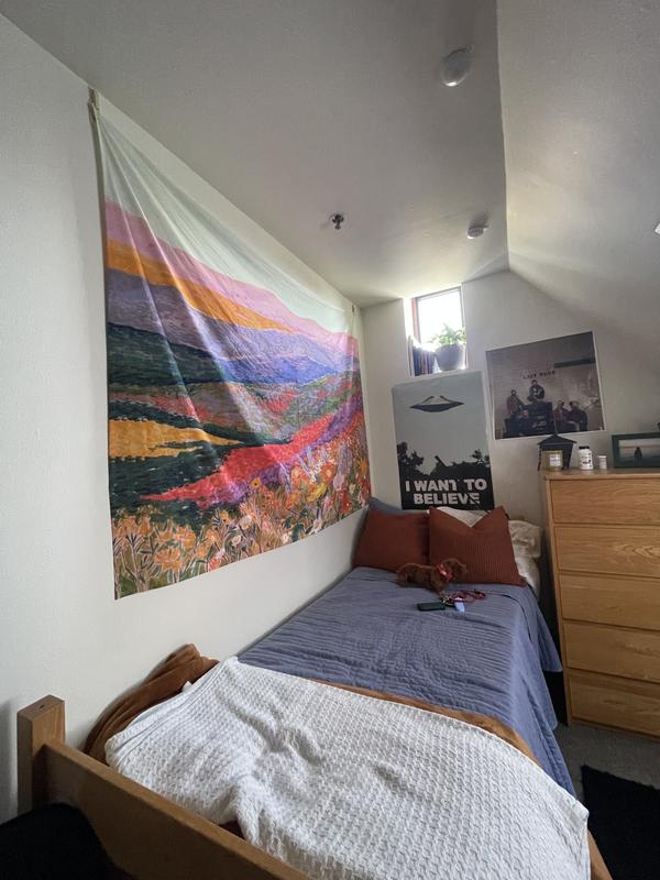Superbloom Landscape Tapestry | Urban Outfitters