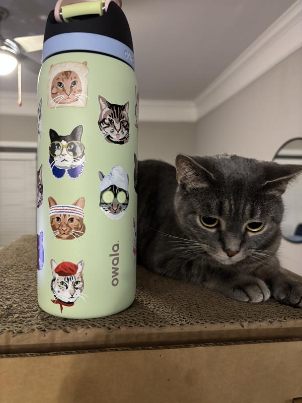 新品 Urban Outfitters限定 猫柄 owala保冷水筒32 oz Owala UO Exclusive FreeSip 32 oz Water Bottle | Urban