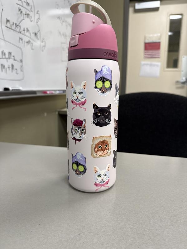 Owala UO Exclusive Cat Collage FreeSip 32 oz Water Bottle | Urban
