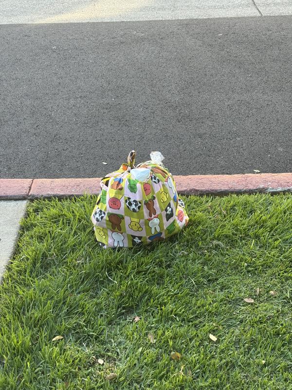 BAGGU Standard Reusable Tote Bag