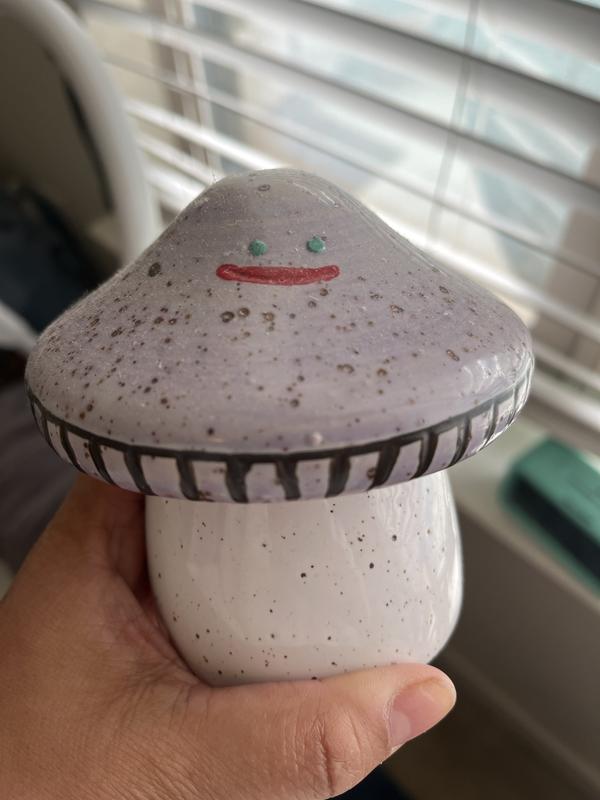 Mushroom Stash Box | Urban Outfitters
