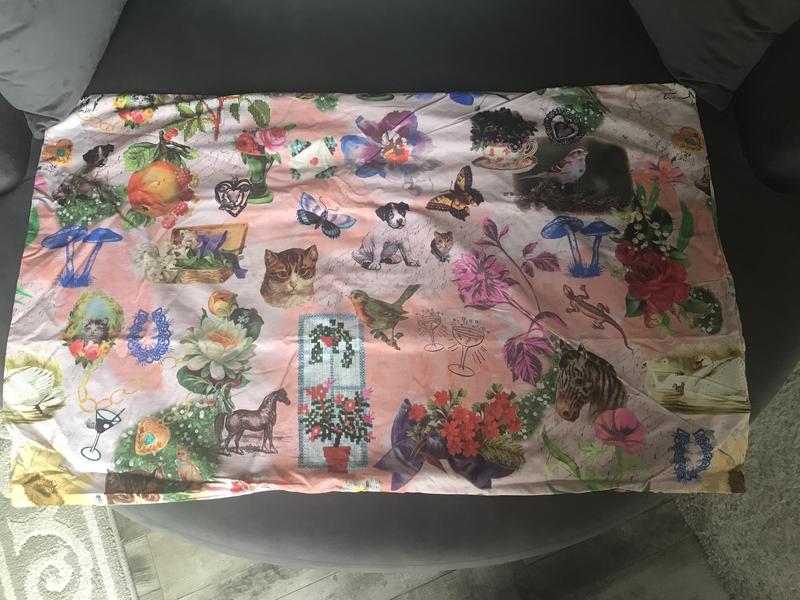 Curious Collage Breezy Cotton Percale Sham Set