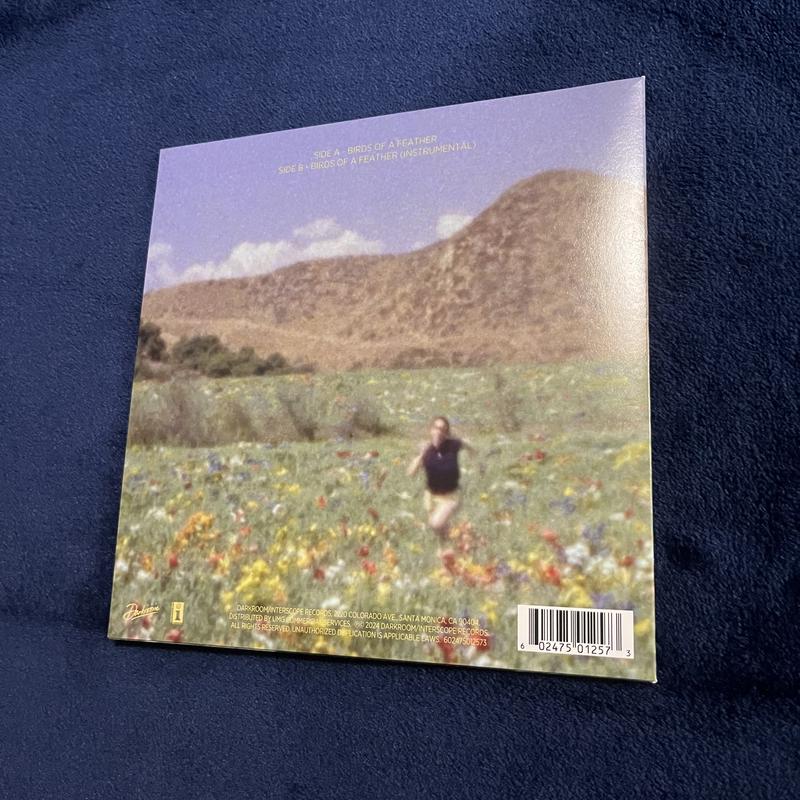 Billie Eilish - BIRDS OF A FEATHERS Limited 7-Inch Single | Urban