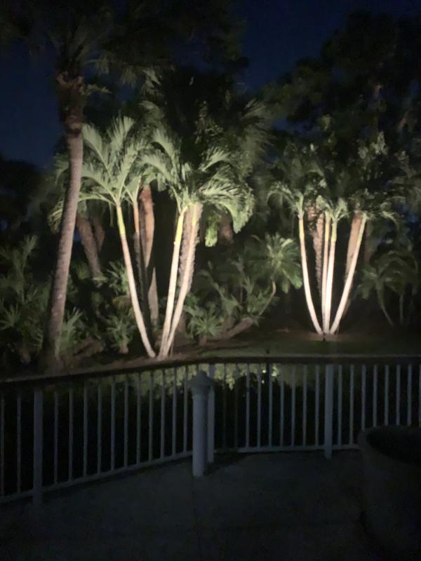 G2 Brass Fat Boy Spotlight (Bronze Finish) | VOLT® Lighting