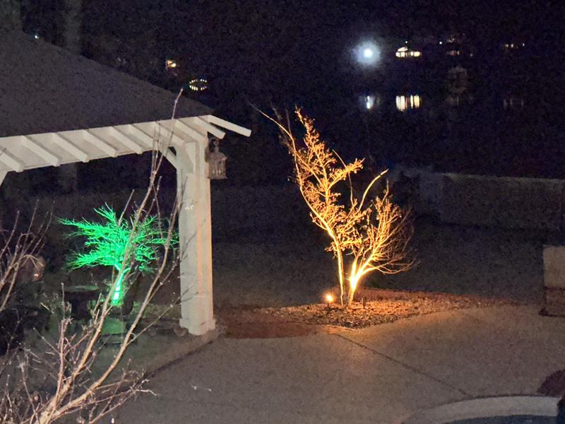 ライト・ランタン Valo shade \"space age\" ND ver RGBW Salty Dog Integrated LED Brass In-Grade Light (Bronze