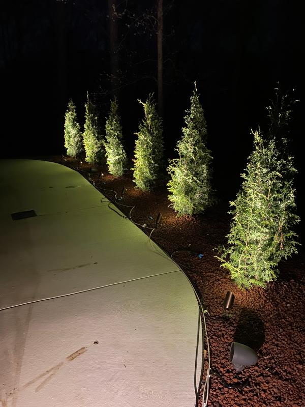 Top Dog Heavy Duty Cast Brass LED Spotlight | VOLT® Lighting