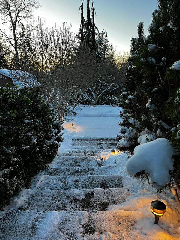 Premier Pagoda Brass Path Light Kit (Bronze) | VOLT® Lighting