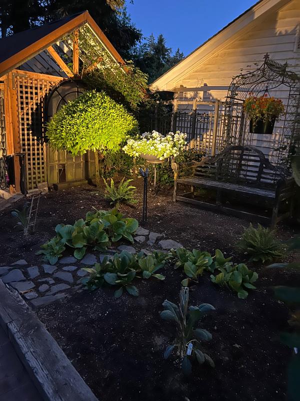 Shiner Brewery Decor 12-inch Brass Landscape Lighting Extension Riser ...