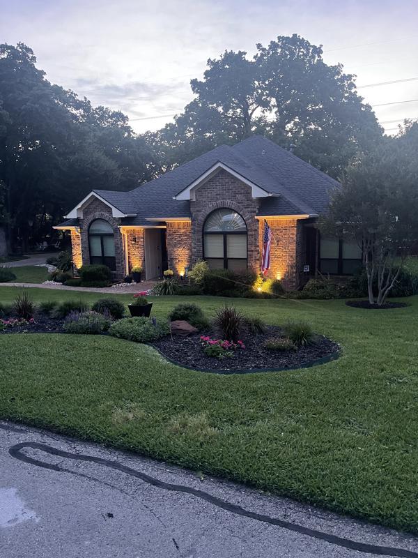 Top Dog Scotty Cast Brass Spotlight (Black) | VOLT® Lighting