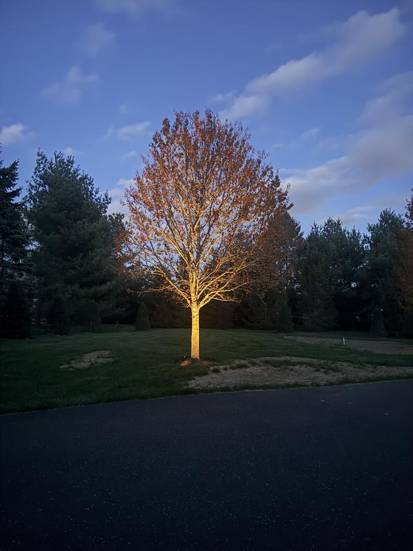 Nano Integrated LED Brass Spotlight (Bronze) | VOLT® Lighting