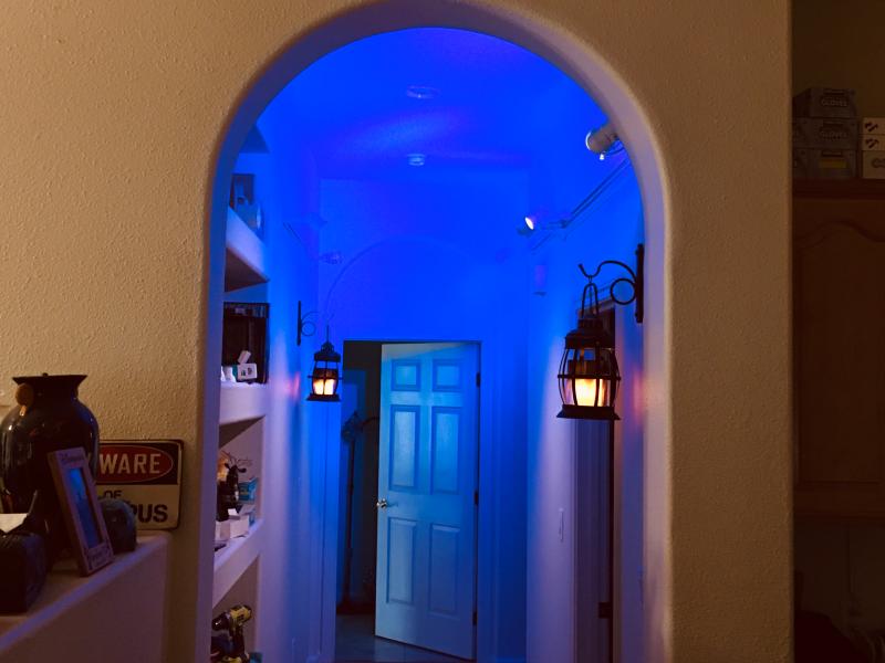 Colored Lens Accessory For Lamp Track Heads Color: Golden