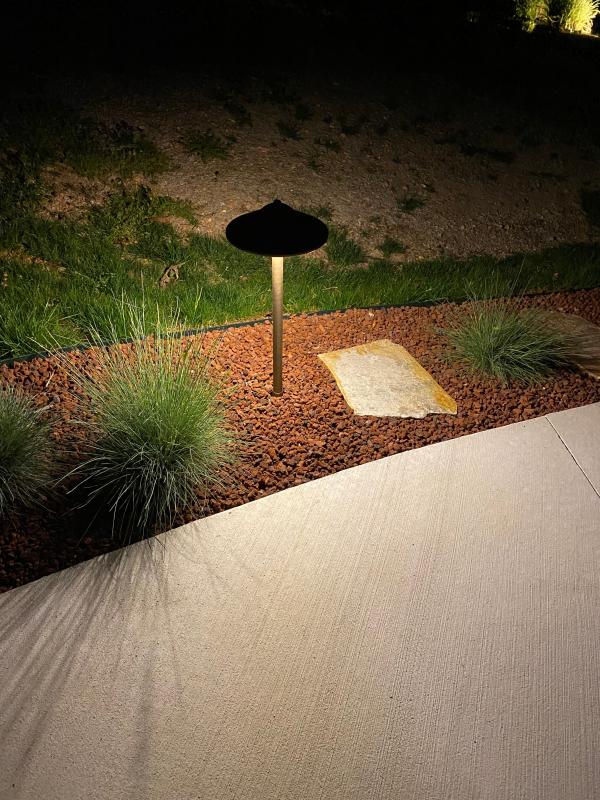 VOLT® Max Spread Copper Path & Area Light