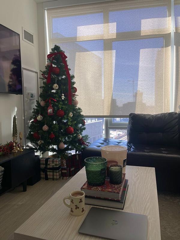 Noble Fir Candle Collection