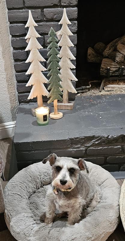 Customer photo for "Classic Holiday in a jar"
