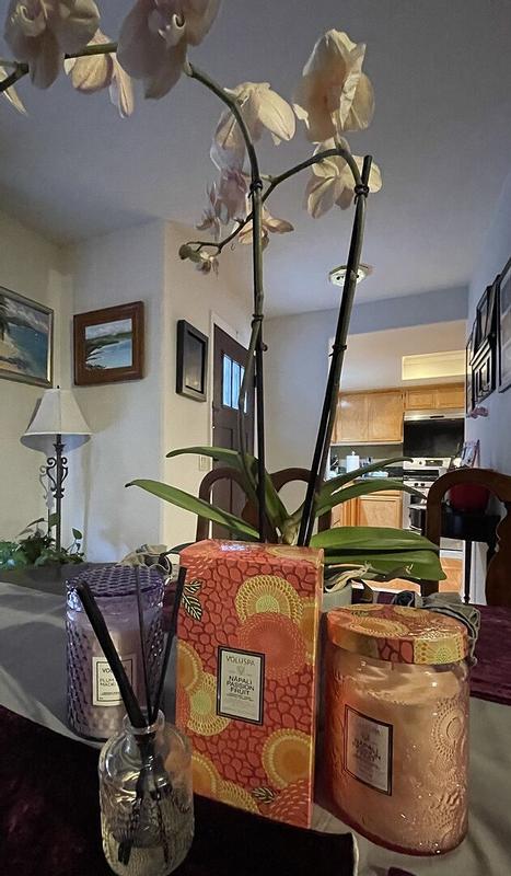 Customer photo for "ALOHA"